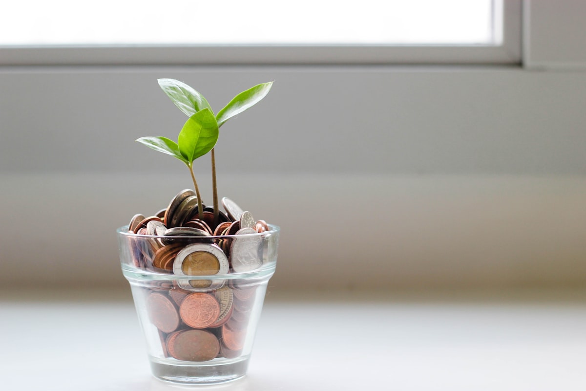 Cash flow management for Australian small business